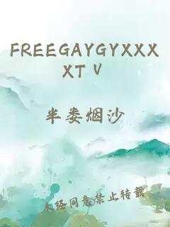 FREEGAYGYXXXXTⅤ