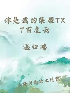 你是我的荣耀TXT百度云