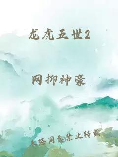 龙虎五世2