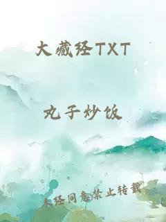 大藏经TXT