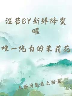 湿苔BY新鲜蜂蜜罐