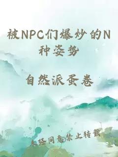 被NPC们爆炒的N种姿势