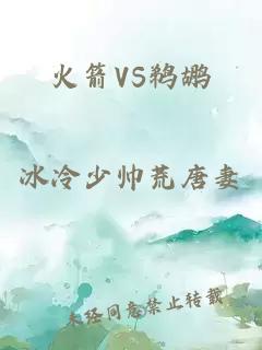 火箭VS鹈鹕