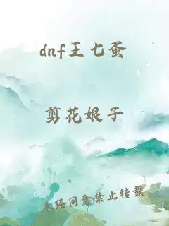 dnf王七蛋