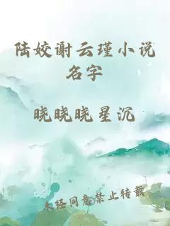 陆姣谢云瑾小说名字