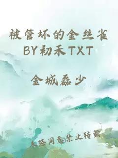 被管坏的金丝雀BY初禾TXT