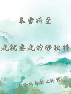 暴雪将至