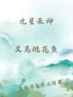 九星杀神