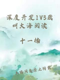 深度开发1V3我叫大海阅读