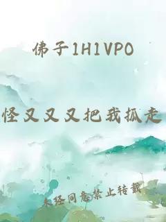 佛子1H1VPO