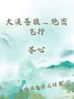 大漠苍狼—绝密飞行