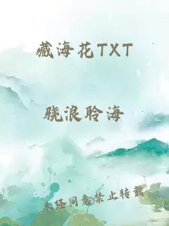 藏海花TXT