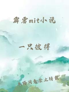 霹雳mit小说