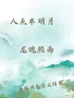 八点半明月珰