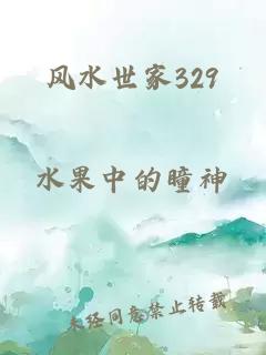 风水世家329