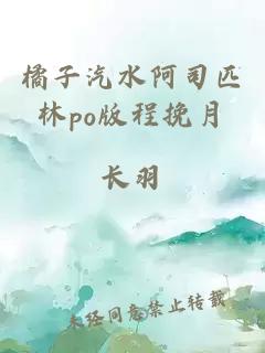 橘子汽水阿司匹林po版程挽月