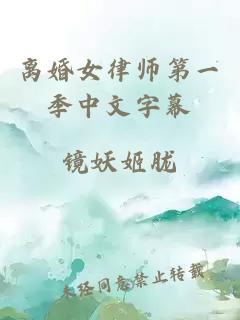 离婚女律师第一季中文字幕