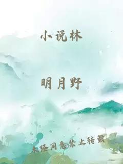 小说林