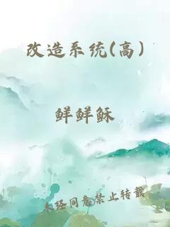 改造系统(高)