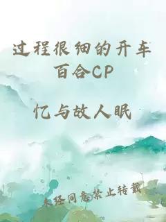 过程很细的开车百合CP