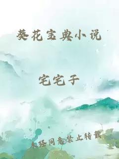 葵花宝典小说