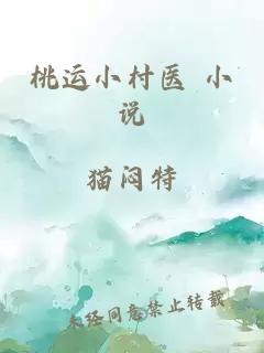 桃运小村医 小说