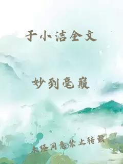 于小洁全文