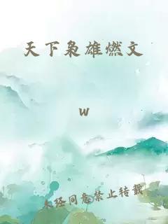 天下枭雄燃文