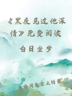 《黑夜见过他深情》免费阅读