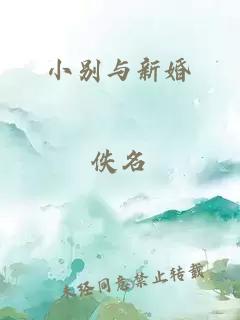 小别与新婚