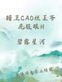 暗卫CAO烂王爷屁股眼H