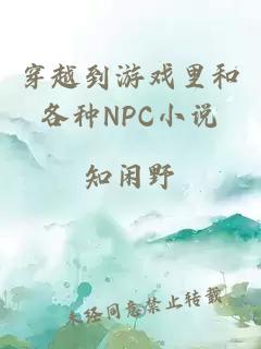 穿越到游戏里和各种NPC小说