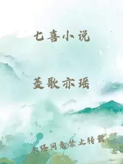 七喜小说