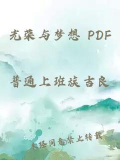 光荣与梦想 PDF