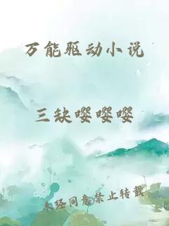 万能驱动小说