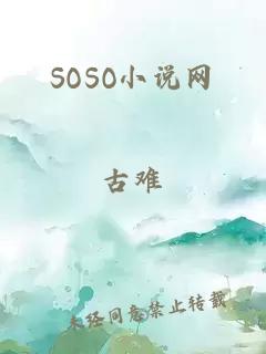 SOSO小说网