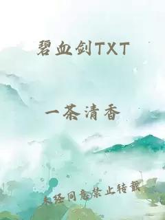 碧血剑TXT