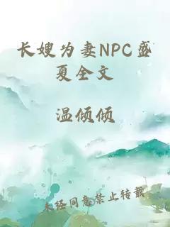 长嫂为妻NPC盛夏全文