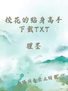 校花的贴身高手下载TXT