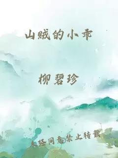 山贼的小乖