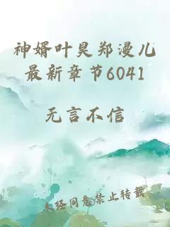 神婿叶昊郑漫儿最新章节6041