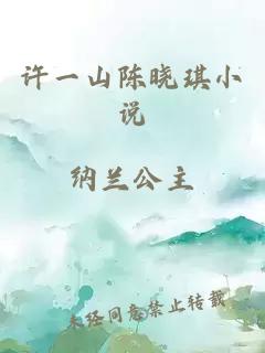 许一山陈晓琪小说