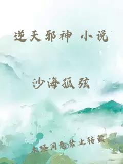 逆天邪神 小说