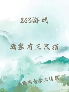 263游戏