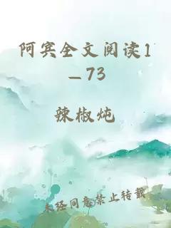 阿宾全文阅读1—73