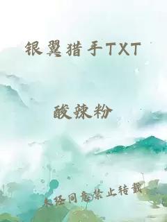 银翼猎手TXT