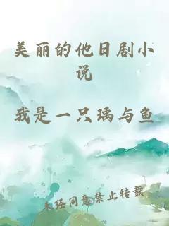 美丽的他日剧小说