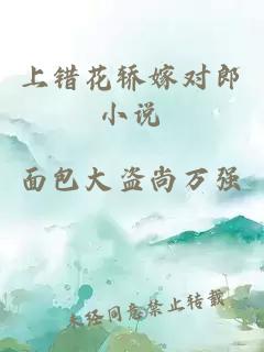 上错花轿嫁对郎小说