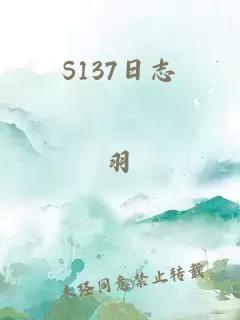 S137日志