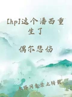 [hp]这个潘西重生了